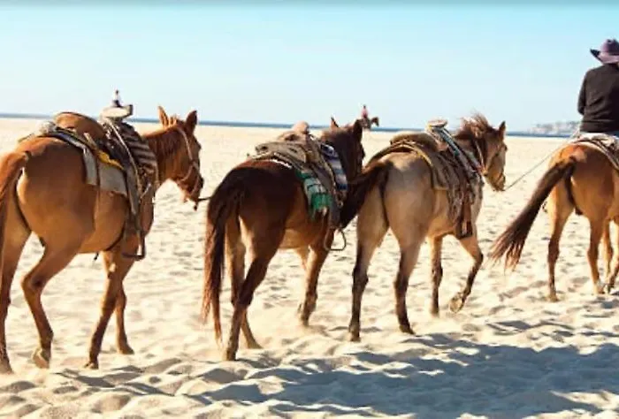Mananitas Lm E3302 Holiday home San Jose del Cabo